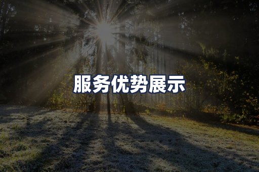 服务优势展示